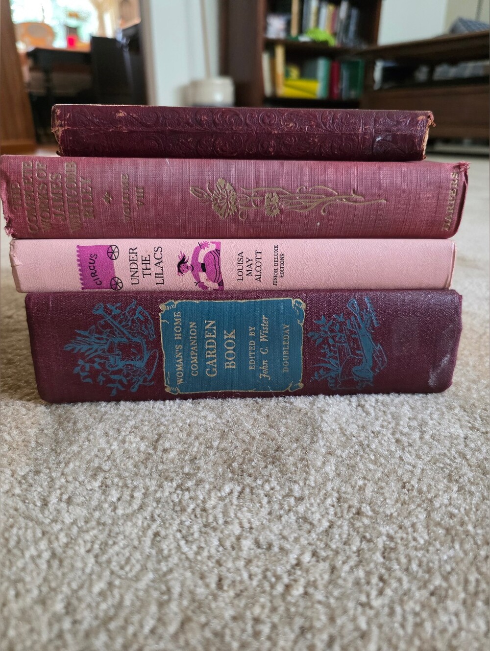 Antique Books | Redish Pink Shades  | Dark Acadamia | Bundle |